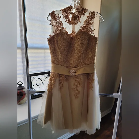 semi formal dresses gold Ashley Lauren 11509 Formal Dresses Gold/Silver 12 / Gold/Silver main image 0